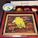 맛 세이로무시 | 선정릉역 장어덮밥 맛집 우나비 히츠마부시 세이로무시 후기