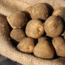 팔도농장 이미지