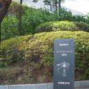 서던페이턴트서비스인크 | 완전히 새로운 카메라! 소니 A9 런칭쇼 후기!