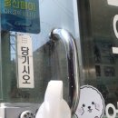 뷰티 앤 도그쇼 이미지