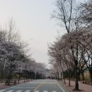 인천대공원(다목적광장) 이미지