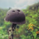 박진전쟁기념관 이미지