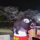 화개숯불갈비 네이버블로그