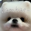 무전대로 | 남해 맛보기+통영 n차 방문 v^^v