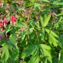 수월산방 이미지