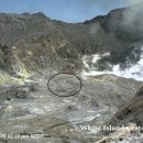 No sign of life on New Zealand volcano island 이미지