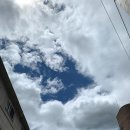 웨스트빌 피자 이미지