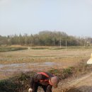 정윤농장 이미지