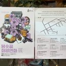 빗자루탄마녀 이미지