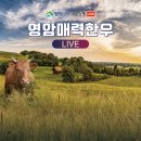 영암매력한우 이미지