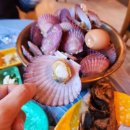 홍포차 | 홍가리비찜 동탄맛집 명량수산포차 방문후기