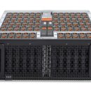 포커스 온 펫 이미지