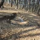 신화랑풍류숲길 | 신화랑풍류숲길 까치산