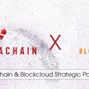 카르디아 이미지