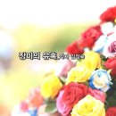예닮기획 이미지
