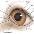 헤아림동물병원 이미지