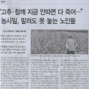 전국/ “고추·참깨 지금 안따면 다 죽어…”농사일, 말려도 못 놓는 노인들/ 농가서 반복되는 ‘고령층 온열사망’(민중이 깨어나야 나라가 이미지
