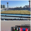 용인대 망포태권도장 이미지