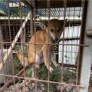 김희수농장 이미지