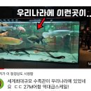 아쿠아가든 일산점 - 일산 추석연휴 아이와 가기 좋은 세계최대규모 수족관카페