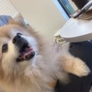 살피정원 이미지