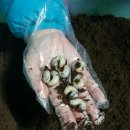 완주농장 이미지