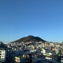 달고나(달과 고양이와 나) 이미지