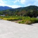 병목보건진료소 이미지