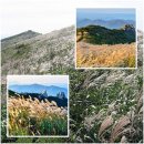 보훈주유소 이미지