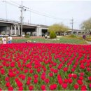 낙동강관리본부 화명생태공원 10 이미지