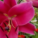 호영농장 이미지