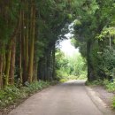 터미널1길 이미지