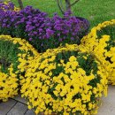 제주고등학교 이미지