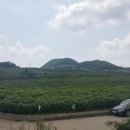 혜성부동산공인중개사사무소 이미지