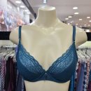 뉴 비너스 이미지