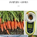 홍홍야채 이미지