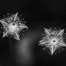 윤부동산중개 이미지