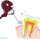 삼성드림치과 네이버블로그