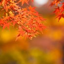 마름달12