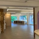 아름다울개 이미지