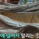 한세탁 티스토리