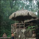 야인촌