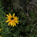 호남신학대학교 교회음악대학원 이미지