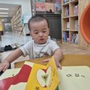 사랑나무가족도서관 이미지