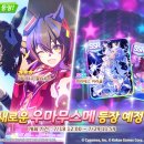 미라클 스포츠(주) 이미지