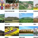 표선면사무소 이미지