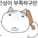 공인주 네이버블로그