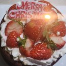 도너츠먹을만두하지 | 앉으라고, 부산에 먹으러 왔잖아?! | 부산 자취생 PICK! | 부산 현지인 맛집 | 광고 없음