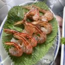 범계역 오징어회 제대로 즐긴 날 갯바위횟집 야장 리뷰