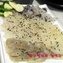 독도회수산 Daum카페